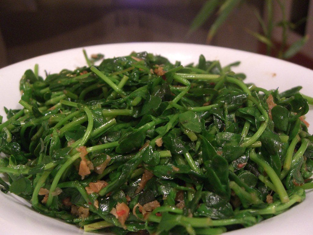#73 Traditional Hong Kong Sauce: Delivering Authentic HK Taste