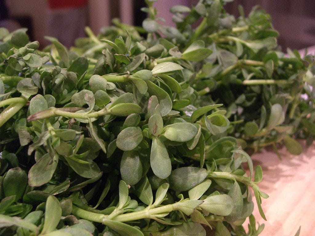 Artisanal Cantonese ingredients
